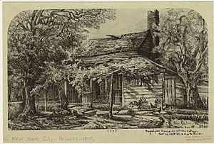 Archivo:Rapelyea House or White Cottage New York City1 1870