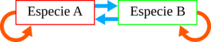 Archivo:Relaciones Biológicas
