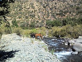 Rio Colina Chile.jpg