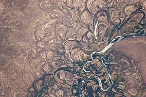 Archivo:Rio Negro Floodplain, Patagonia, Argentina 2010-01-04