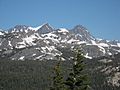 Ritterrange