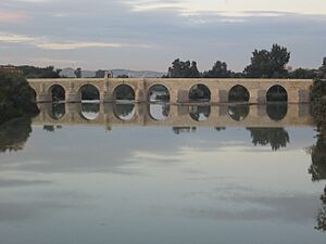 Archivo:Roman bridge of Cordoba