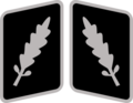 SS-Standartenführer Collar Rank