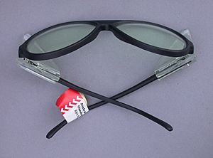 Archivo:SafetyGlassesShield