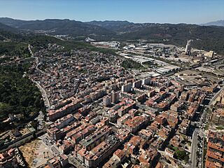 Sant Vicenç dels Horts.jpg