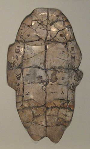 Archivo:Shang dynasty inscribed tortoise plastron