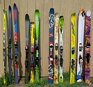 Archivo:SkiCollection