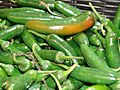 Starr 070730-7845 Capsicum annuum