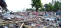 Archivo:Sunda strait tsunami 2