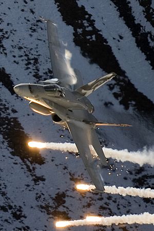 Archivo:Switzerland - Air Force McDonnell Douglas FA-18C Hornet - cropped