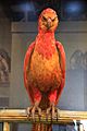 The Making of Harry Potter 29-05-2012 (7526852604)