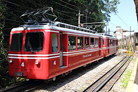 Archivo:Trem do Corcovado na Estação Paineiras 02