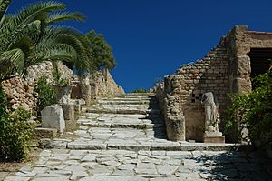 Archivo:Tunisie Carthage Ruines 04