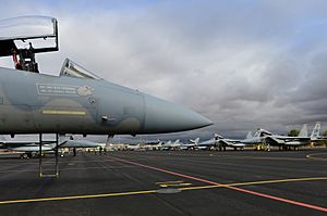Archivo:U.S. Air Force F-15C Eagle aircraft assigned to the 493rd Fighter Squadron sit on the flight line during the Tactical Leadership Program (TLP) at Albacete Air Base, Spain 130118-F-BH151-110