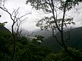 Vereda guayab