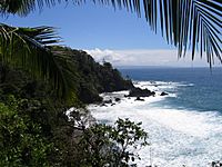 Archivo:View from Isla del Cano
