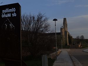 Archivo:Vista de la Iglesia La Asunción de Nuestra Señora de Olmillos de Muñó