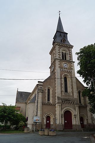 Église Saint-Florent de Saint-Florent-des-Bois (vue 1, Éduarel, 8 juillet 2017).jpg