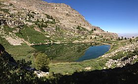 2014-07-25 09 34 36 View west across Griswold Lake from the trail to Ruby Dome east of the lake.JPG