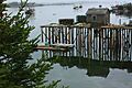 A312, Beals Island, Maine, USA, 2009