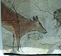 Altamira, doe