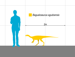 Archivo:Bagualosaurus Scale