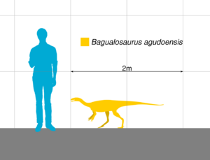 Archivo:Bagualosaurus Scale