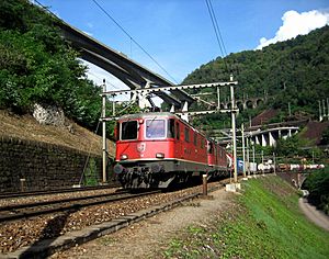Archivo:Biaschina Intermodal