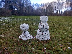 Bonecos de neve nos Carneiros (1).jpg