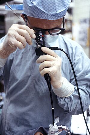 Archivo:Bronchoscopy nci-vol-1950-300