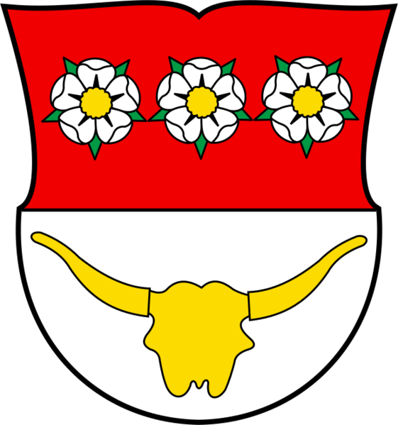 CHE Düdingen COA