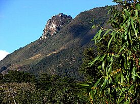 Cayaguanca.jpg