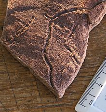 Archivo:Ediacaran trace fossil