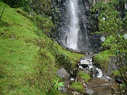 Fuente de termales Aguatibia.jpg