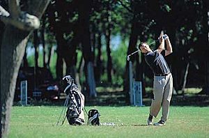 Archivo:Golf2 santa-teresita