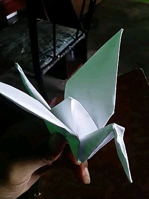 Archivo:Jesus Rafael Marcano's traditional crane