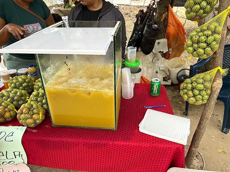 Jugo de ciruela Campeche Atlántico