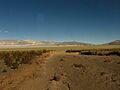 Laguna Blanca, Catamarca
