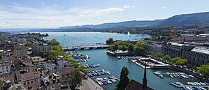 Archivo:Lake Zürich from Grossmünster