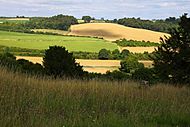 Archivo:Looking across the Chilterns - geograph.org.uk - 1449866