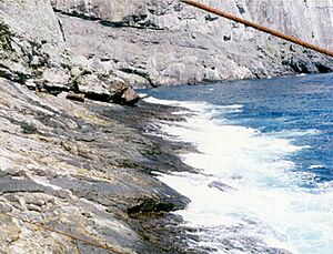 Archivo:Malpelo Island Cliffs
