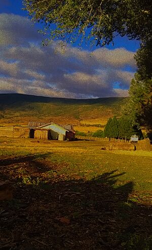 Archivo:PATAGONIA ARGENTINA