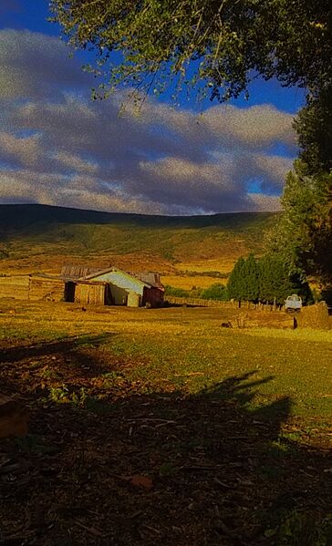 PATAGONIA ARGENTINA