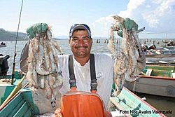 Archivo:Pescador empalmense