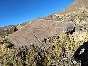 Archivo:Petroglifos al pie del Acay