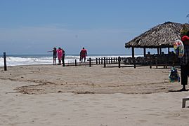 Playa de Barra Vieja)Acapulco - panoramio