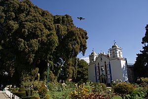 Archivo:Plaza de Santa María del Tule