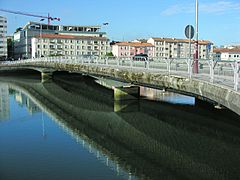 Pontevedra 01