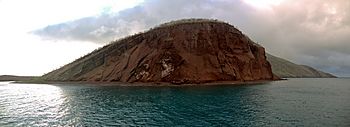 Archivo:Rabida Island - panorama