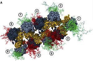 Archivo:Replicating Nanomachines